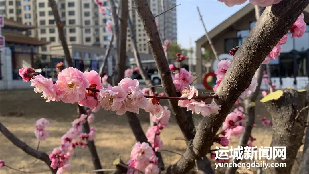 湿地：阳光沙滩变身欢乐海洋开元棋牌网站樊村水库生态(图3)